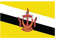 Brunei Peatlands Information - please click here
